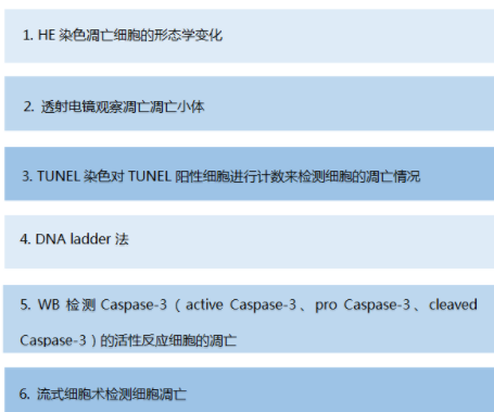 細(xì)胞、組織TUNEL凋亡染色實(shí)驗(yàn)服務(wù)